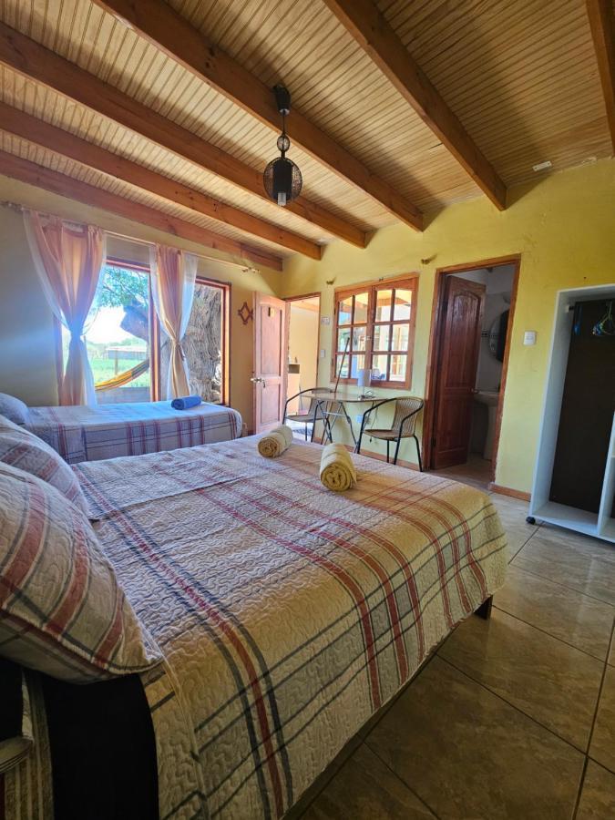 Hostal Casa Los Duendes San Pedro de Atacama Buitenkant foto